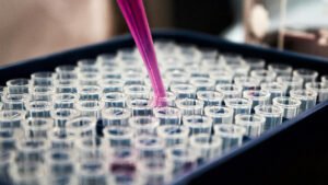 DLQ01: Laborpipette mit pinker Flüssigkeit, die in eine Reihe von kleinen Kunststoff-Reagenzgläsern in einem Tray tropft – Symbol für wissenschaftliche Forschung und medizinische Tests.