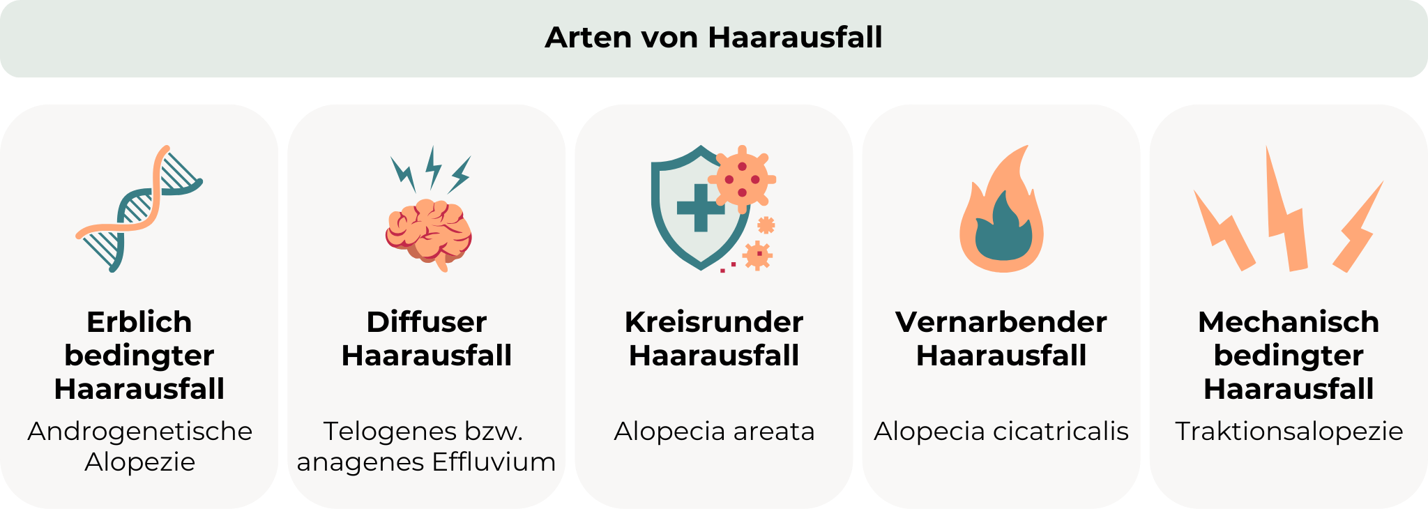 Haarausfall Ursachen: Die Grafik zeigt die verschiedenen Arten von Haarausfall. Von links nach rechts: Erblich bedingter Haarausfall, diffuser Haarausfall, kreisrunder Haarausfall, vernarbender Haarausfall und mechanisch bedingter Haarausfall.
