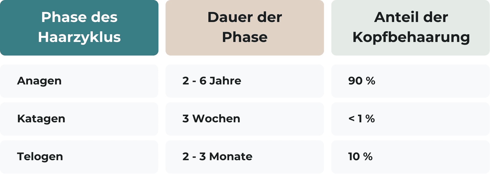 Phasen des Haarzyklus: Anagene, katagene und telogene Phase mit Dauer und prozentuellem Anteil der Kopfbehaarung in den jeweiligen Phasen.