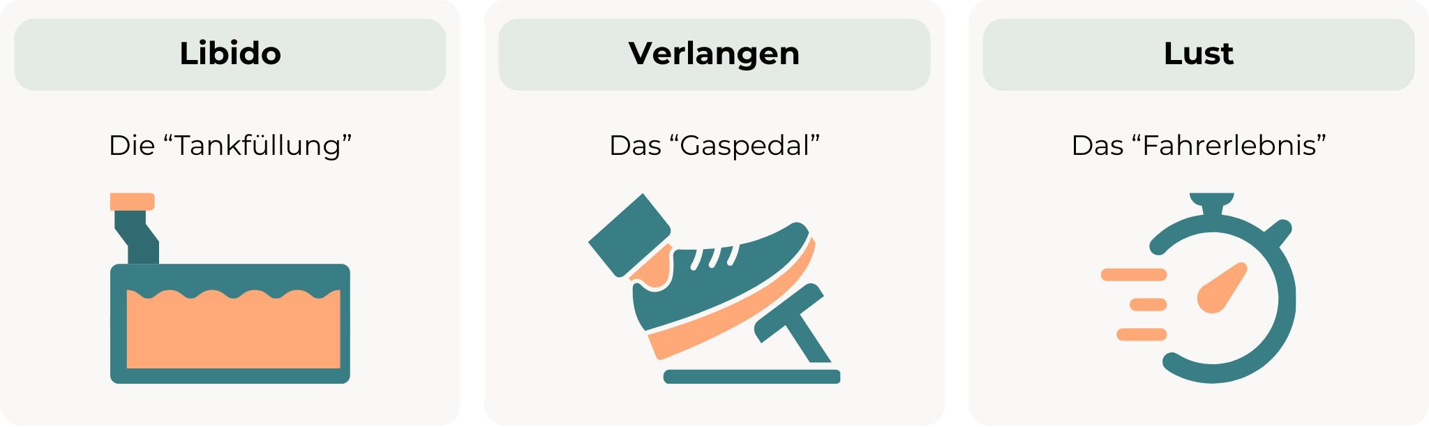 Die Grafik zeigt einen begrifflichen Vergleich zum Verständnis von Libido. Libido wird als Tankfüllung, sexuelles Verlangen als Gaspedal und sexuelle Lust als Fahrerlebnis dargestellt.
