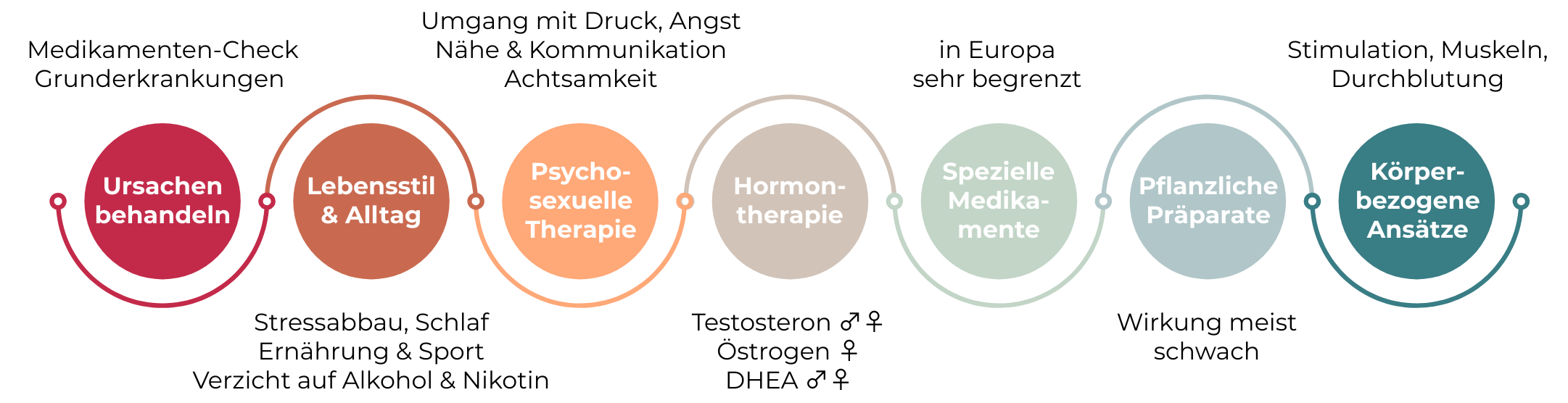 Libidoverlust Behandlung: Die Grafik zeigt in sieben Abschnitten Behandlungsmöglichkeiten bei Libidoverlust – Ursachen behandeln, Lebensstil und Alltag anpassen, psychosexuelle Therapie, Hormontherapie, spezielle Medikamente, pflanzliche Präparate und körperbezogene Ansätze.