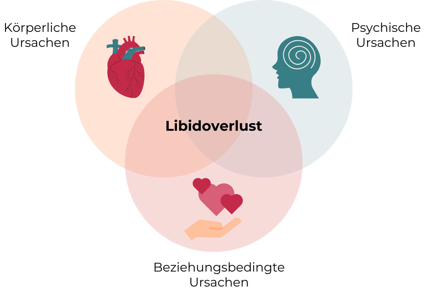Libidoverlust Ursachen - Diagramm zu den multifaktoriellen Ursachen von Libidoverlust: Schnittmenge körperlicher Ursachen, psychischer Ursachen und beziehungsbedingter Ursachen. Darstellung im Venn-Diagramm mit Symbolen für Herz-Kreislauf, Psyche und Beziehung.