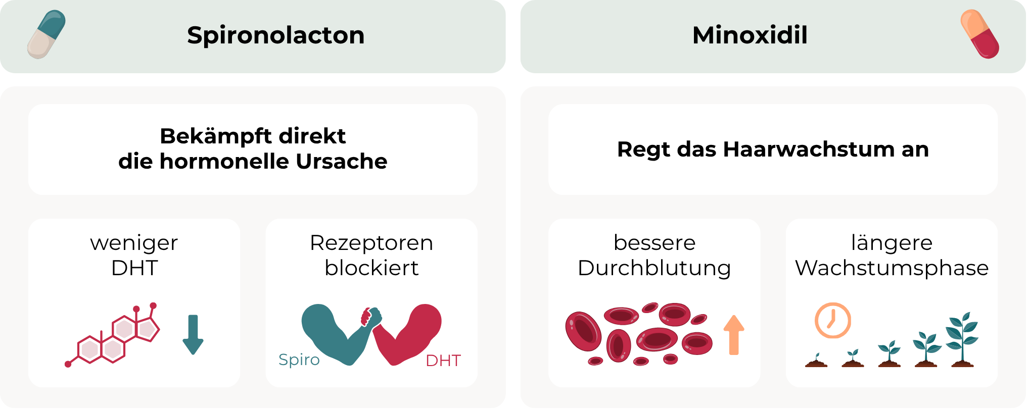 Spironolacton Haarausfall - Infografik zum Vergleich von Spironolacton und Minoxidil bei Haarausfall: Spironolacton bekämpft die hormonelle Ursache, indem es DHT senkt und Androgenrezeptoren blockiert. Minoxidil regt das Haarwachstum an, verbessert die Durchblutung der Kopfhaut und verlängert die Wachstumsphase der Haare. In Kombination erzielen sie eine besonders gute Wirkung.