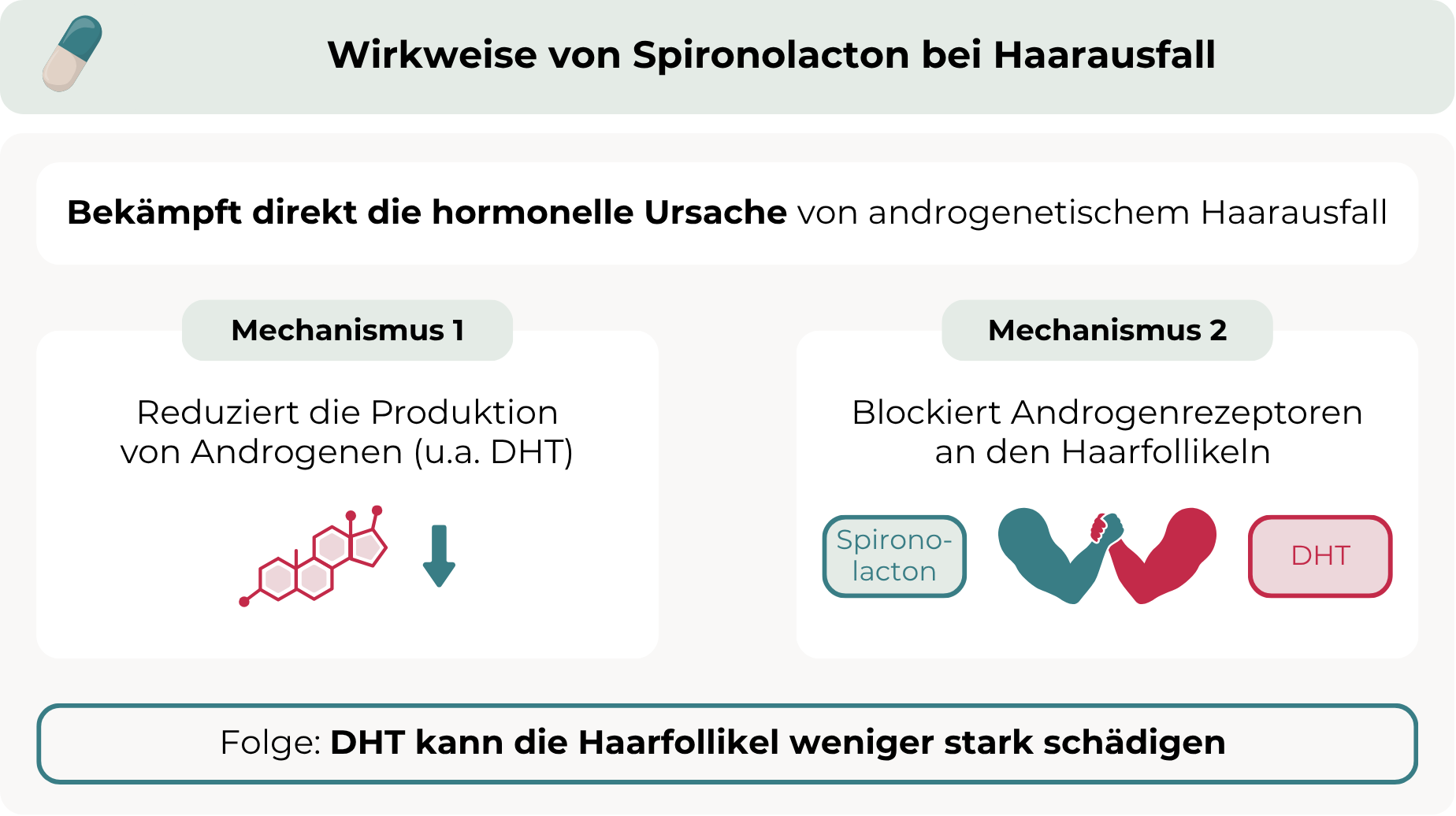 Spironolacton Haarausfall - Infografik zur Wirkweise von Spironolacton bei Haarausfall: Das Medikament bekämpft die hormonelle Ursache von androgenetischem Haarausfall, indem es die Produktion von Androgenen wie DHT reduziert und die Androgenrezeptoren an den Haarfollikeln blockiert. Dadurch kann DHT die Haarfollikel weniger stark schädigen.